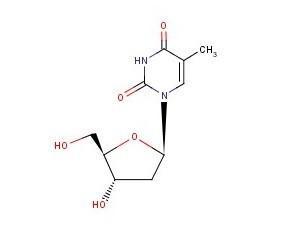 胸腺嘧啶核苷