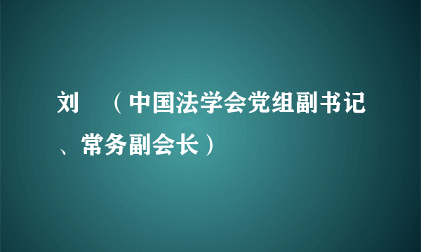 刘飏（中国法学会党组副书记、常务副会长）