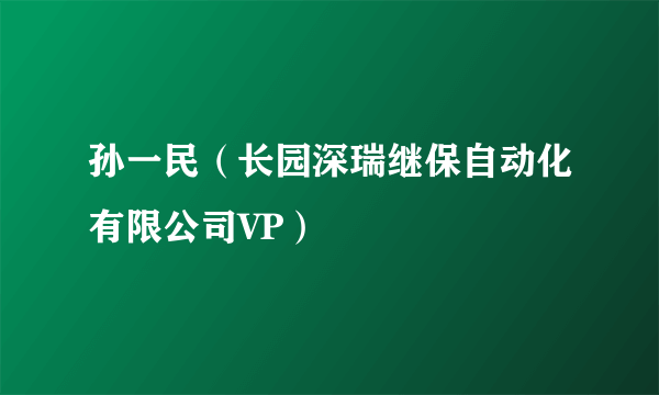 孙一民（长园深瑞继保自动化有限公司VP）