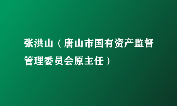 张洪山（唐山市国有资产监督管理委员会原主任）