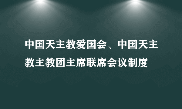 中国天主教爱国会、中国天主教主教团主席联席会议制度