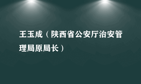 什么是王玉成（陕西省公安厅治安管理局原局长）