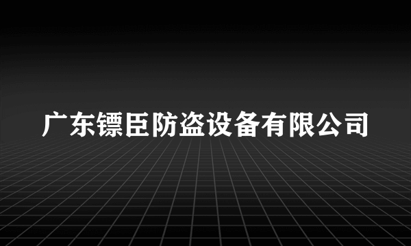 什么是广东镖臣防盗设备有限公司