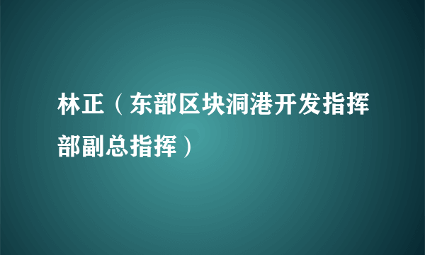 什么是林正（东部区块洞港开发指挥部副总指挥）