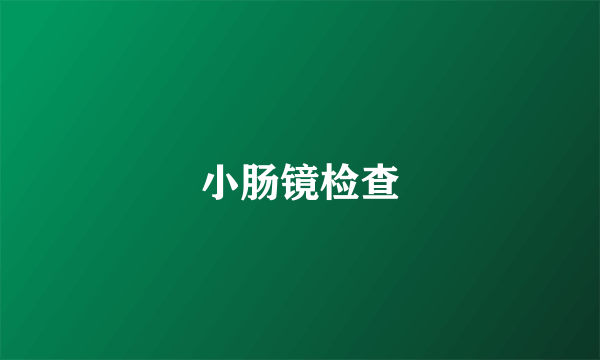 小肠镜检查