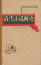 古代小说断代简史丛书：清代小说简史