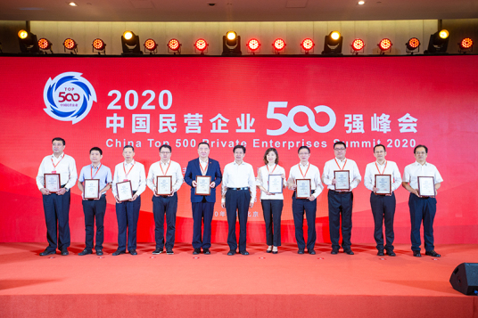 什么是中国民营企业500强