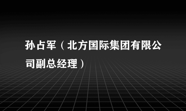 孙占军（北方国际集团有限公司副总经理）