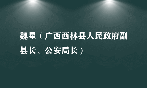 魏星（广西西林县人民政府副县长、公安局长）