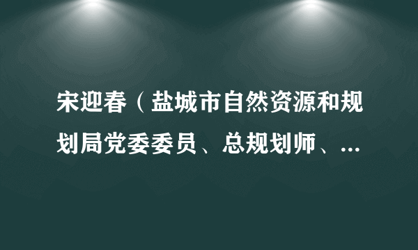 什么是宋迎春（盐城市自然资源和规划局党委委员、总规划师、三级调研员）