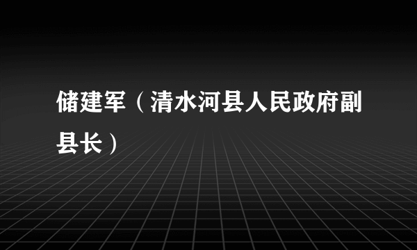 什么是储建军（清水河县人民政府副县长）