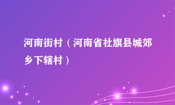 河南街村（河南省社旗县城郊乡下辖村）