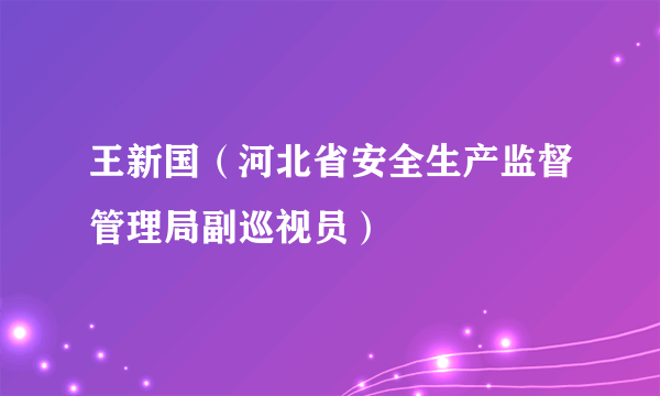 什么是王新国（河北省安全生产监督管理局副巡视员）