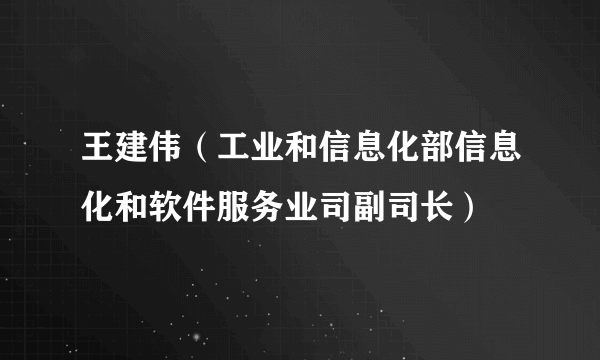 王建伟（工业和信息化部信息化和软件服务业司副司长）