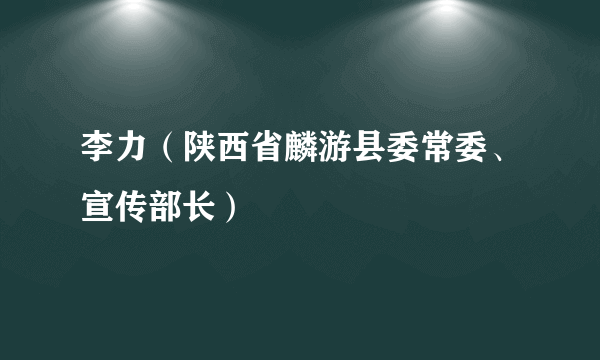 什么是李力（陕西省麟游县委常委、宣传部长）