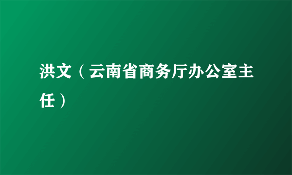 什么是洪文（云南省商务厅办公室主任）