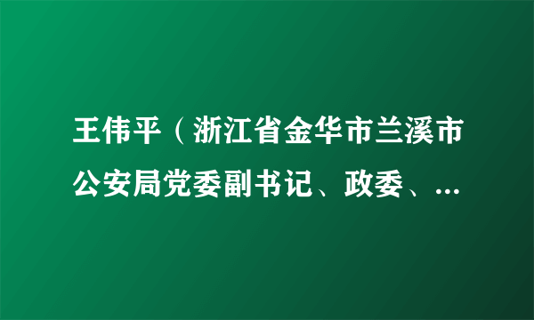 王伟平（浙江省金华市兰溪市公安局党委副书记、政委、警务保障处主任）