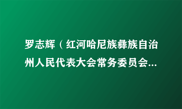 罗志辉（红河哈尼族彝族自治州人民代表大会常务委员会选举联络工作委员会主任）