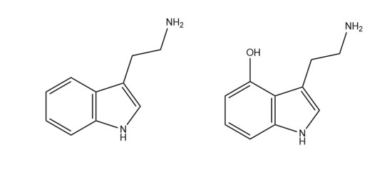 色胺衍生物