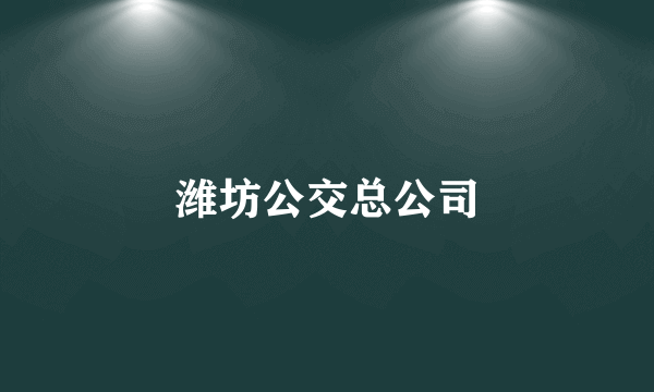 潍坊公交总公司