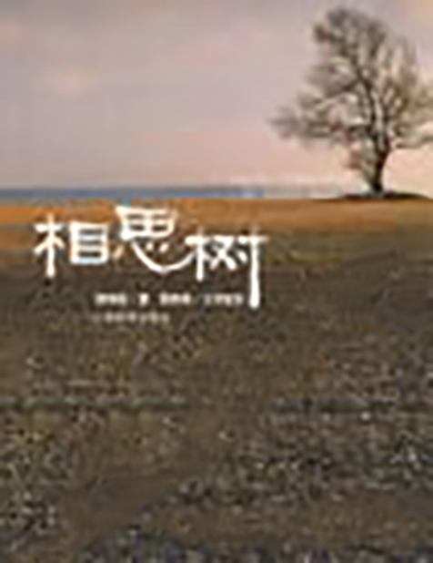 相思树（2008年上海世纪出版股份公司出版的图书）