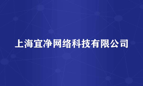 什么是上海宜净网络科技有限公司