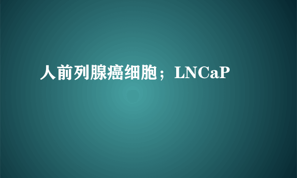 人前列腺癌细胞；LNCaP