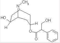 左旋山莨菪碱