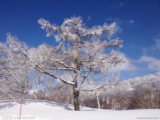 最浪漫的雪