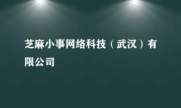 什么是芝麻小事网络科技（武汉）有限公司