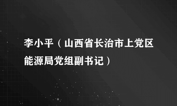 李小平（山西省长治市上党区能源局党组副书记）