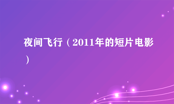 什么是夜间飞行（2011年的短片电影）