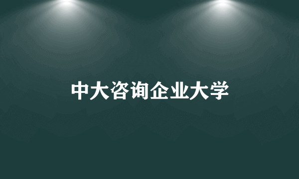 中大咨询企业大学