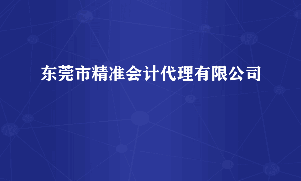 东莞市精准会计代理有限公司