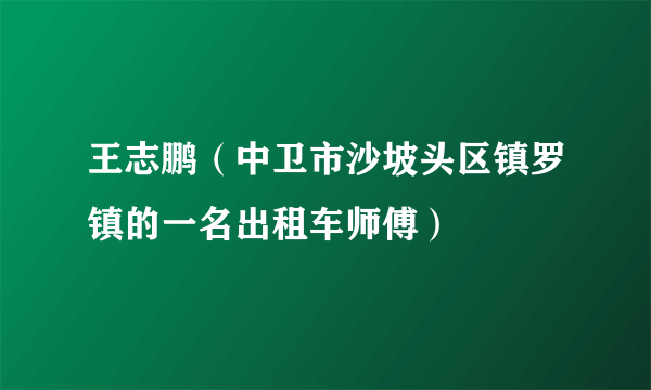 王志鹏（中卫市沙坡头区镇罗镇的一名出租车师傅）