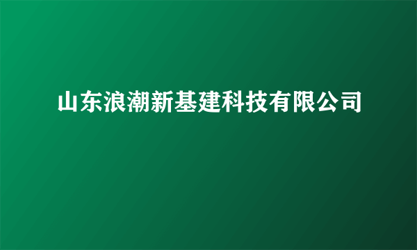 什么是山东浪潮新基建科技有限公司