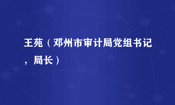 王苑（邓州市审计局党组书记，局长）