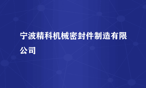 宁波精科机械密封件制造有限公司