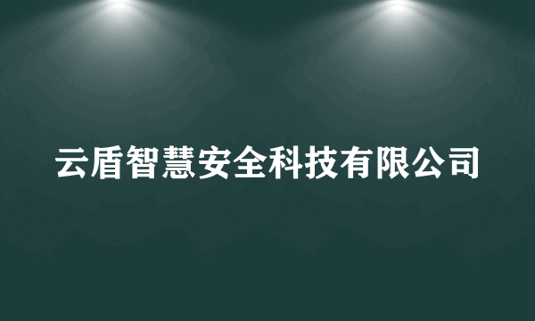 什么是云盾智慧安全科技有限公司