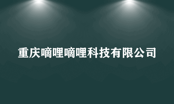 重庆嘀哩嘀哩科技有限公司