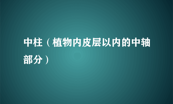 中柱（植物内皮层以内的中轴部分）