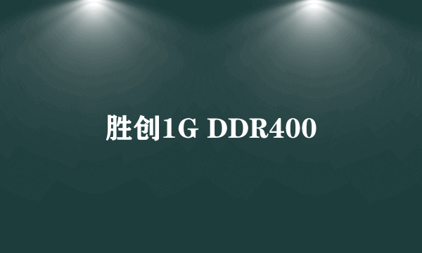 胜创1G DDR400