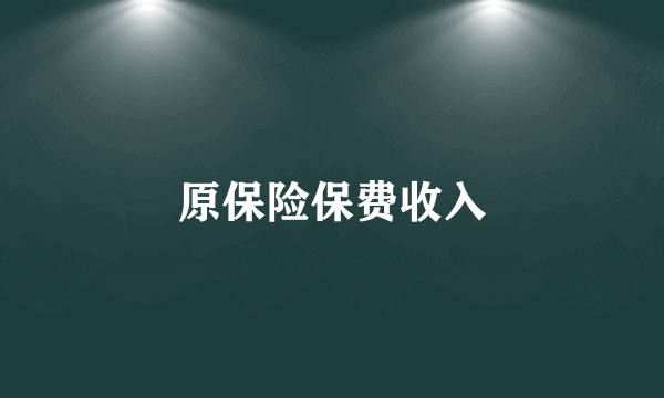 什么是原保险保费收入