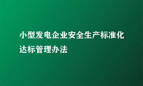 小型发电企业安全生产标准化达标管理办法