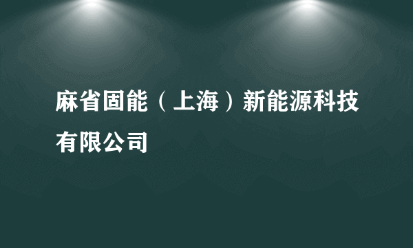 麻省固能（上海）新能源科技有限公司