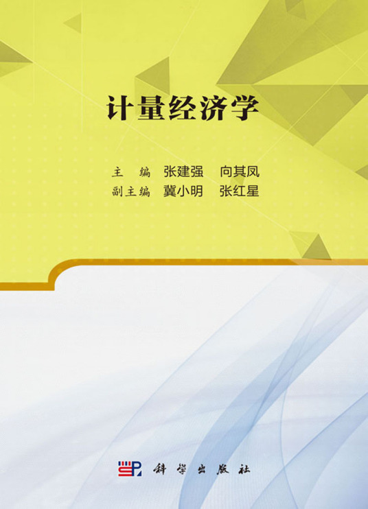 计量经济学（2018年科学出版社出版的图书）