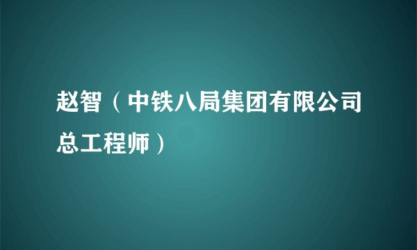 赵智（中铁八局集团有限公司总工程师）