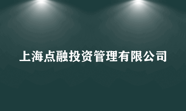 上海点融投资管理有限公司