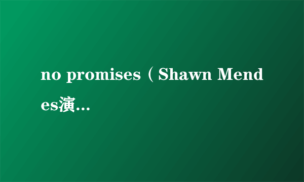 什么是no promises（Shawn Mendes演唱歌曲）