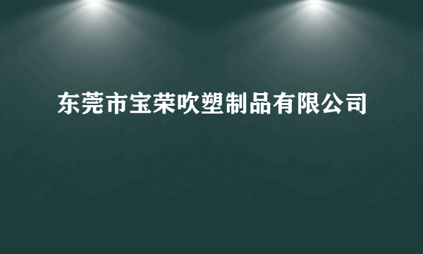 东莞市宝荣吹塑制品有限公司